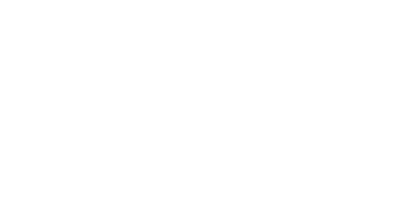 Elektro Maas